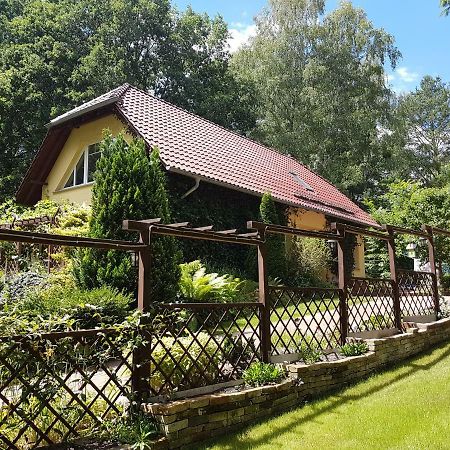 Ferienwohnung Mittelmuehle 托伊皮茨 外观 照片