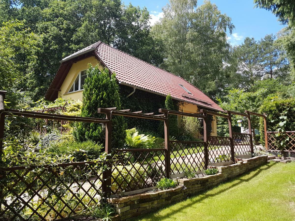 Ferienwohnung Mittelmuehle 托伊皮茨 外观 照片