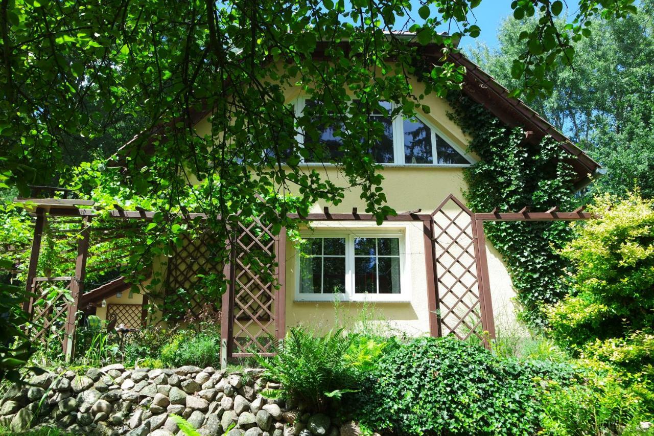 Ferienwohnung Mittelmuehle 托伊皮茨 外观 照片